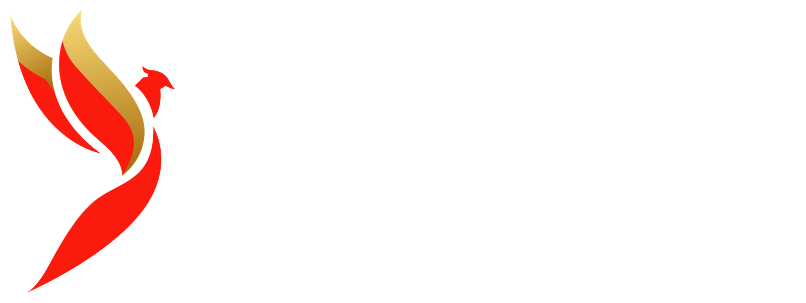 Invictus Global Response