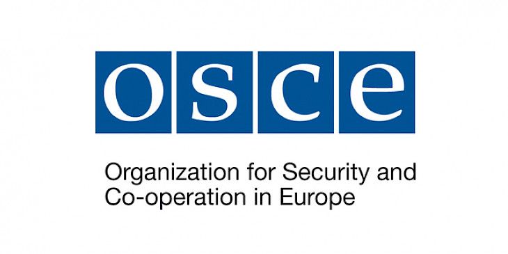 Organization for Security and Co-operation in Europe